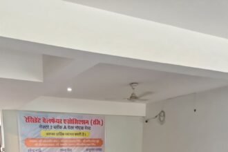 Dilapidated Electricity Poles to Be Replaced in Sector-2; High-Mast Lighting System to Be Installed in Parks IMAGE CREDIT TO प्राधिकरण