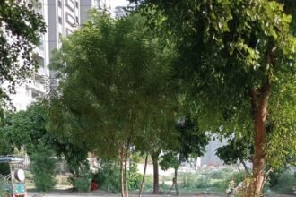 Ghaziabad: Housing and Development Council Takes Major Action, Land Worth ₹3 Crore Freed from Encroachment in Siddharth Vihar Scheme IMAGE CREDIT TO आवास विकास