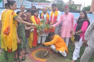 Ashoka Saplings Planted in Ward 51 of Pratap Vihar Under 'Ek Ped Maa Ke Naam' Campaign, Chief Guest Yatendra Sharma Gives Message of Environmental Conservation IMAGE CREDIT TO भाजपा