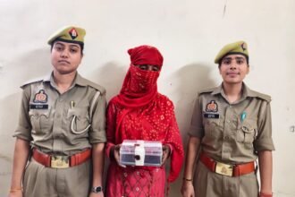 Domestic Worker Stole Mobile Phone, Crossing Police Arrested the Accused IMAGE CREDIT TO पुलिस