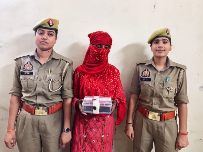 Domestic Worker Stole Mobile Phone, Crossing Police Arrested the Accused IMAGE CREDIT TO पुलिस
