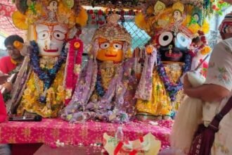 Grand Rath Yatra of Lord Jagannath Taken Out Amid Devotion and Festivity; Hapur Resonates with Chants of Victory IMAGE CREDIT TO रिपोर्टर