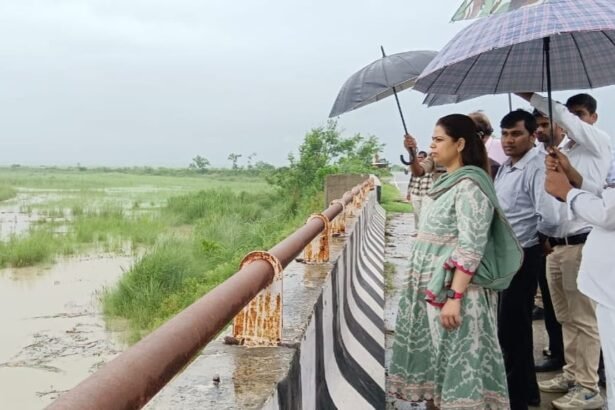 DM Inspects Flood-Affected Areas, Assures Villagers of Dam Construction IMAGE CREDIT TO सूचना विभाग