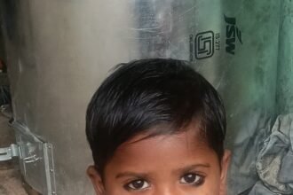 5-Year-Old Child Dies After Being Attacked by Stray Dogs; Panic Grips the Area — IMAGE CREDIT