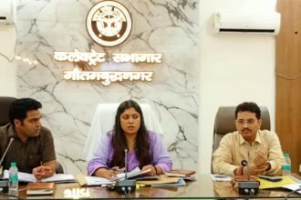 Dujana village to become a model solar village, preparations underway to connect everything from homes to agricultural activities with solar energy — IMAGE CREDIT TO सूचना विभाग
