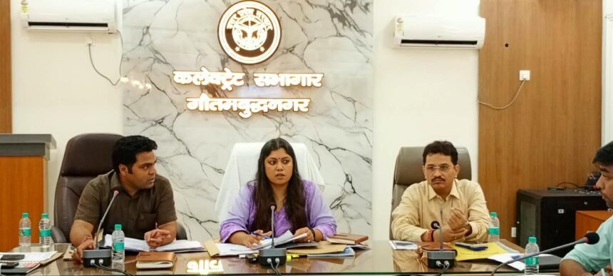 Dujana village to become a model solar village, preparations underway to connect everything from homes to agricultural activities with solar energy — IMAGE CREDIT TO सूचना विभाग