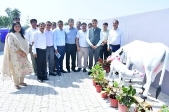 5,000 Saplings Planted at Falaida Gaushala; Modern Facilities Developed for 600 Stray Cattle IMAGE CREDIT TO प्राधिकरण