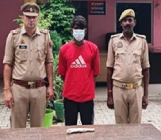 English Translation Bahadurgarh Police Arrests Accused with Illegal Country-Made Pistol and Ammunition IMAGE CREDIT TO पुलिस