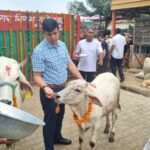 Mega Cleanliness Drive Conducted at Temples on Janmashtami; Municipal Officials Perform Cow Worship IMAGE CREDIT TO नगर निगम