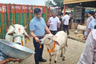Mega Cleanliness Drive Conducted at Temples on Janmashtami; Municipal Officials Perform Cow Worship IMAGE CREDIT TO नगर निगम
