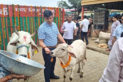 Mega Cleanliness Drive Conducted at Temples on Janmashtami; Municipal Officials Perform Cow Worship IMAGE CREDIT TO नगर निगम