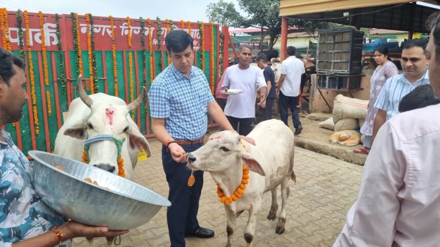 Mega Cleanliness Drive Conducted at Temples on Janmashtami; Municipal Officials Perform Cow Worship IMAGE CREDIT TO नगर निगम