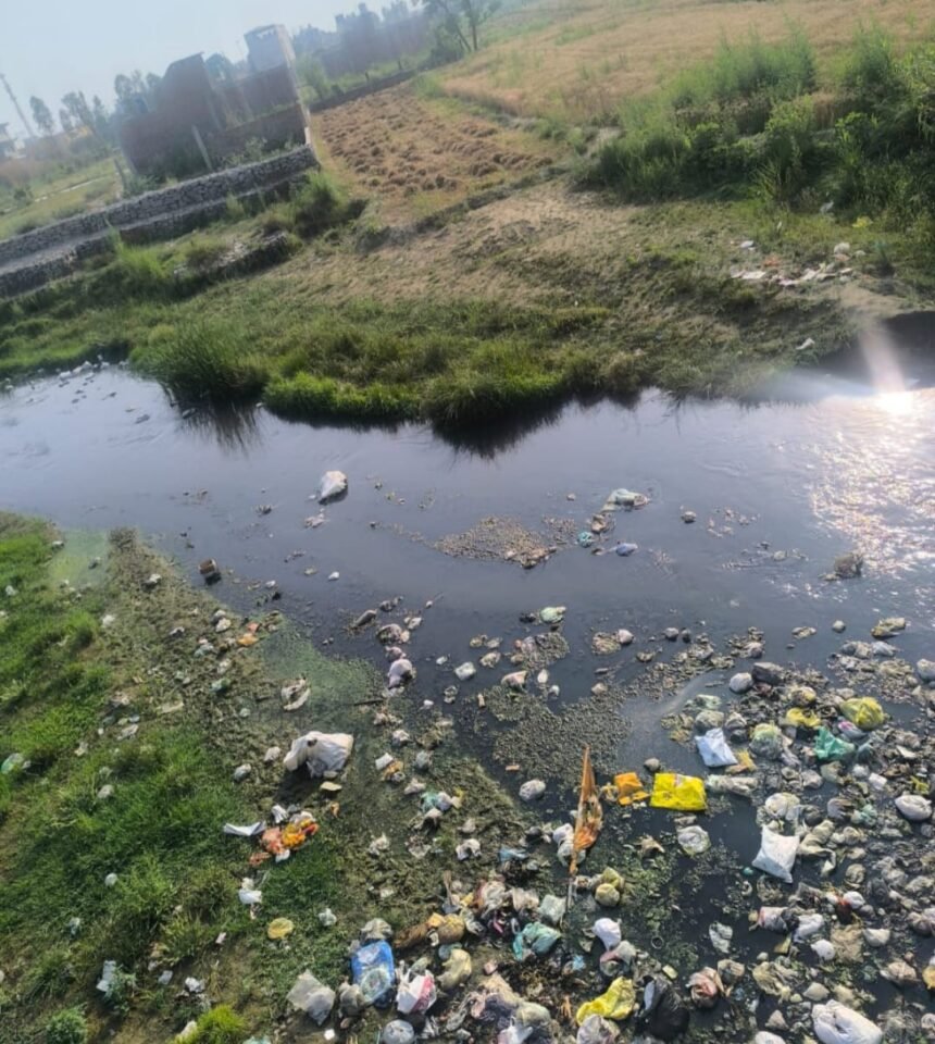 Malin River Faces an Existential Threat; NGT Reprimands Officials Over Encroachment Case IMAGE CREDIT TO रिपोर्टर