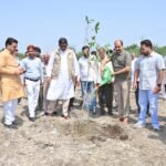 Tree plantation carried out in Yamuna Authority’s green belt; MLA Dhirendra Singh planted a sapling IMAGE CREDIT TO प्राधिकरण