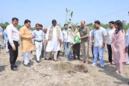 Tree plantation carried out in Yamuna Authority’s green belt; MLA Dhirendra Singh planted a sapling IMAGE CREDIT TO प्राधिकरण