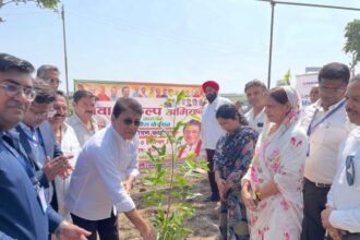 Tree Plantation Carried Out in Nawada Using the Miyawaki Method; MP Arun Govil Plants Saplings IMAGE CREDIT TO रिपोर्टर