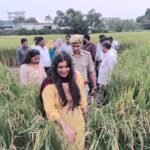 DM Medha Roopam Inspects Paddy Crop Cutting in Girdharpur, Yield of 10.805 Kilograms Recorded IMAGE CREDIT TO सूचना विभाग