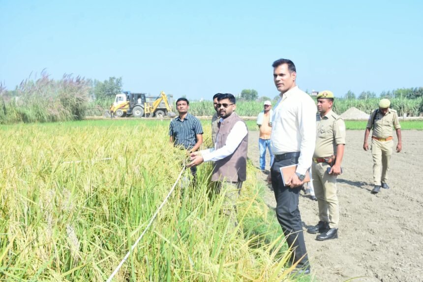 Paddy Yield in Goharni Recorded at 39.10 Quintals per Hectare; Crop Cutting Conducted Under the Supervision of the District Magistrate — IMAGE CREDIT TO सूचना विभाग